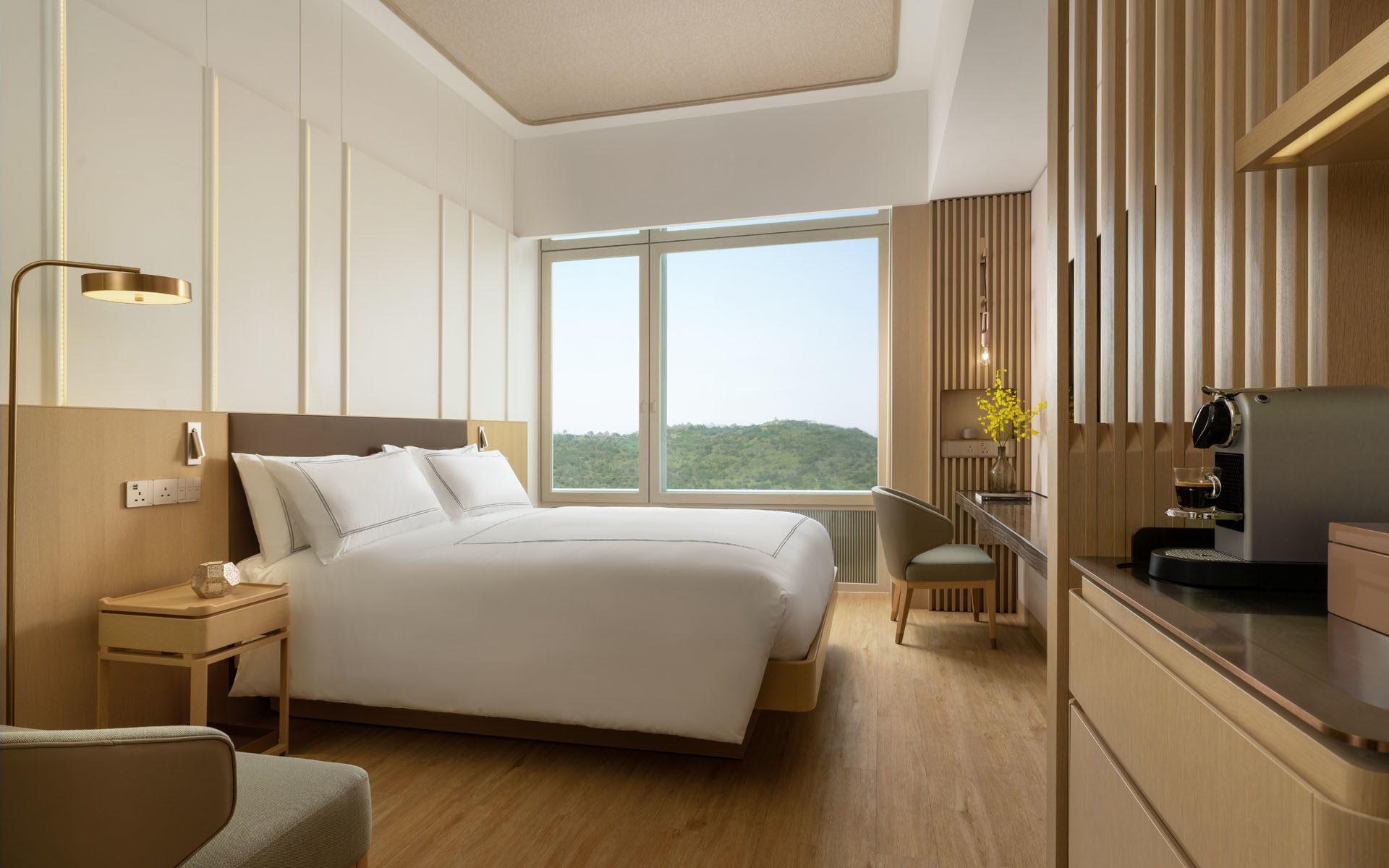 Silveri Executive Room
